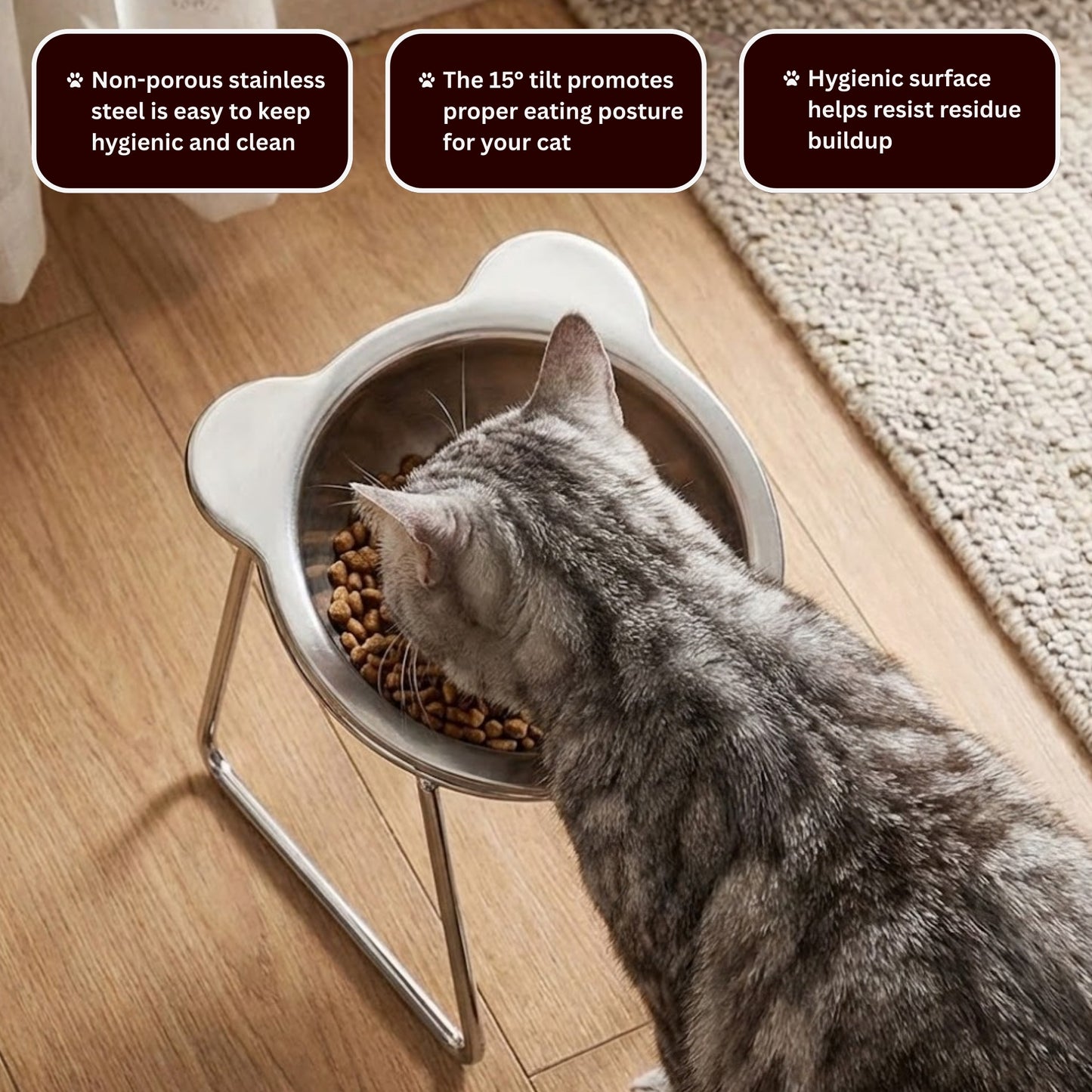 Sterling Whiskers™ Orthopedic Feeding Bowl