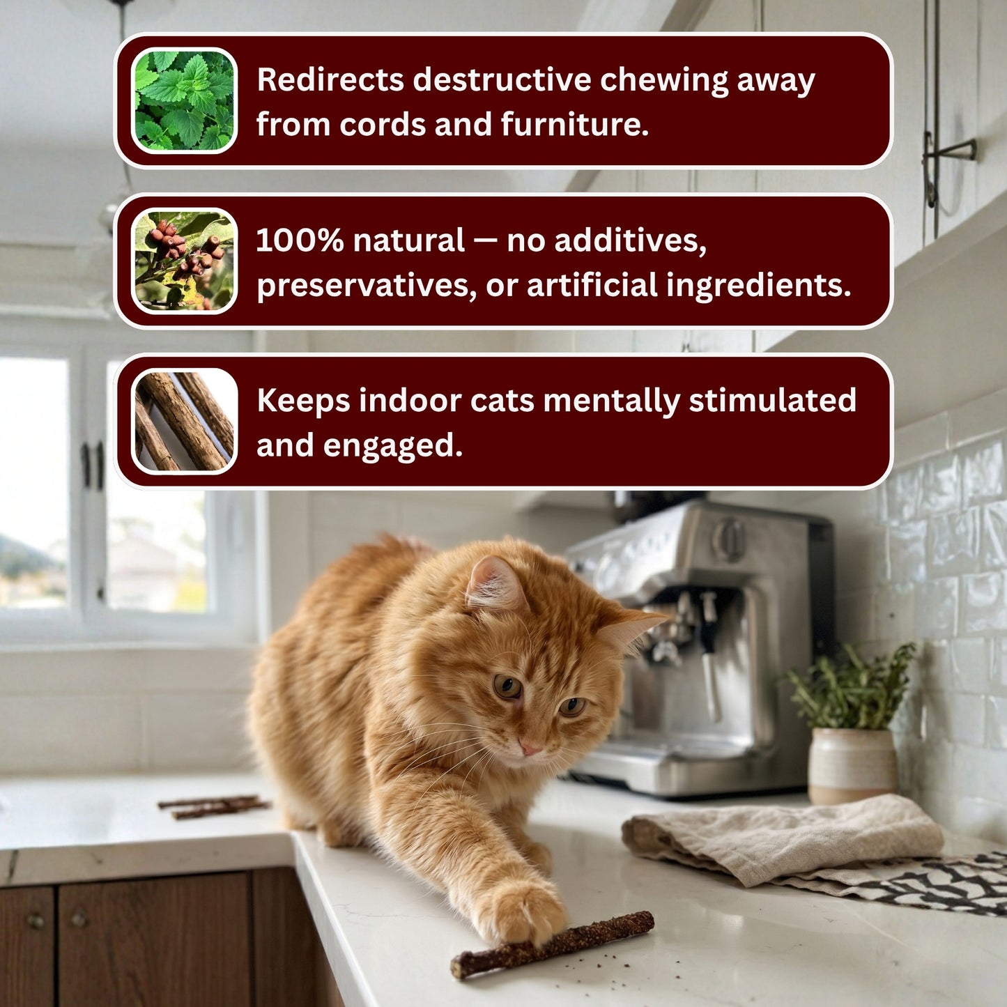 Sterling Whiskers™ Gall Fruit Sticks