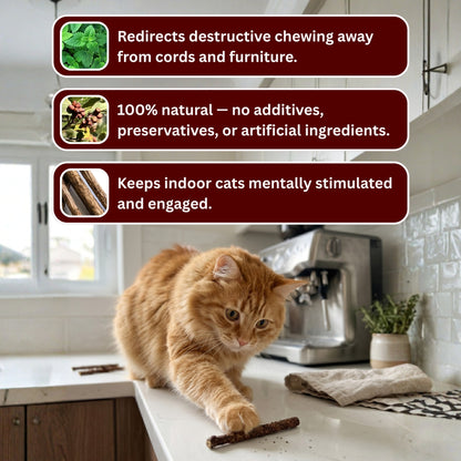 Sterling Whiskers™ Gall Fruit Sticks