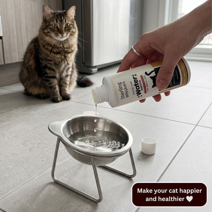 Sterling Whiskers™ Cat Dental Drops