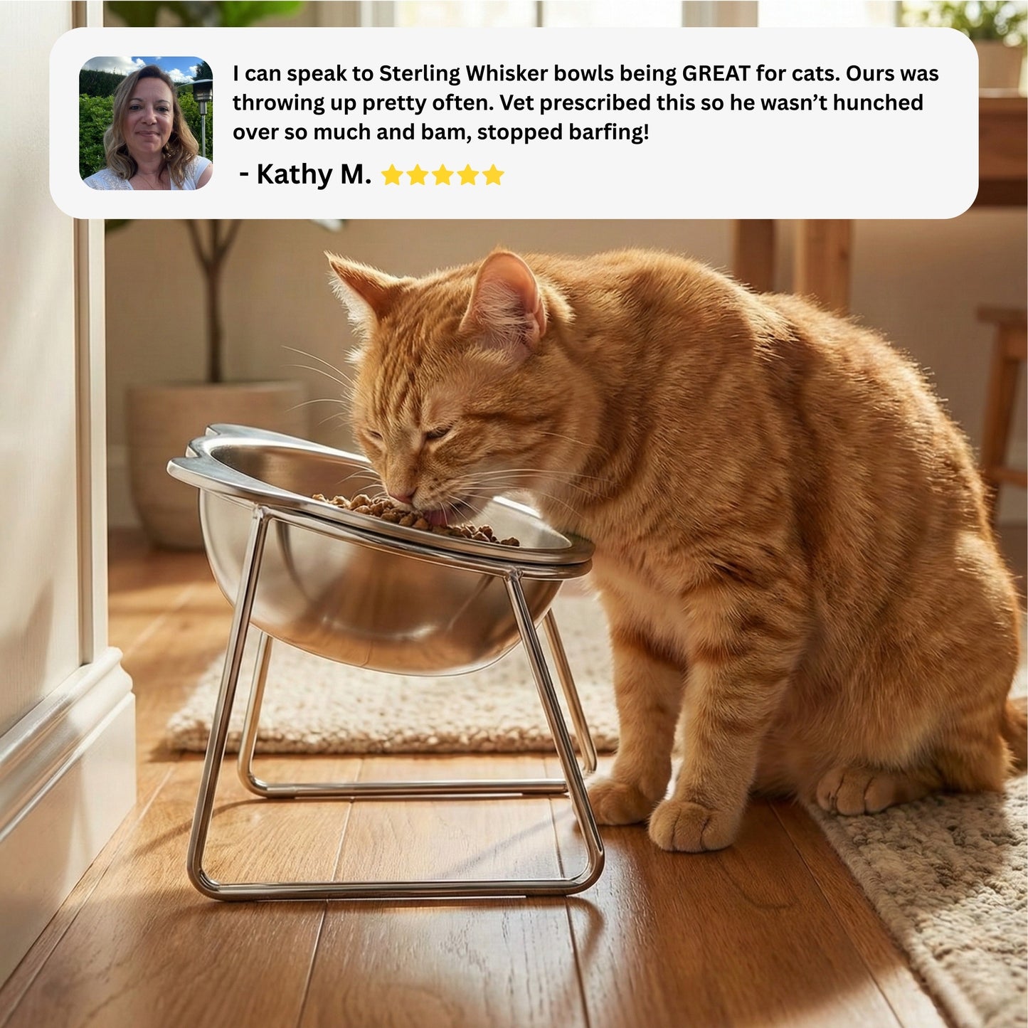 Sterling Whiskers™ Orthopedic Feeding Bowl