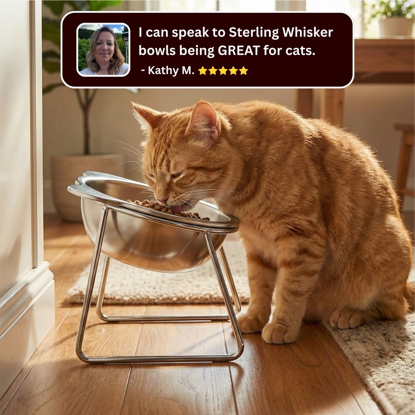 Sterling Whiskers™ Orthopedic Feeding Bowl