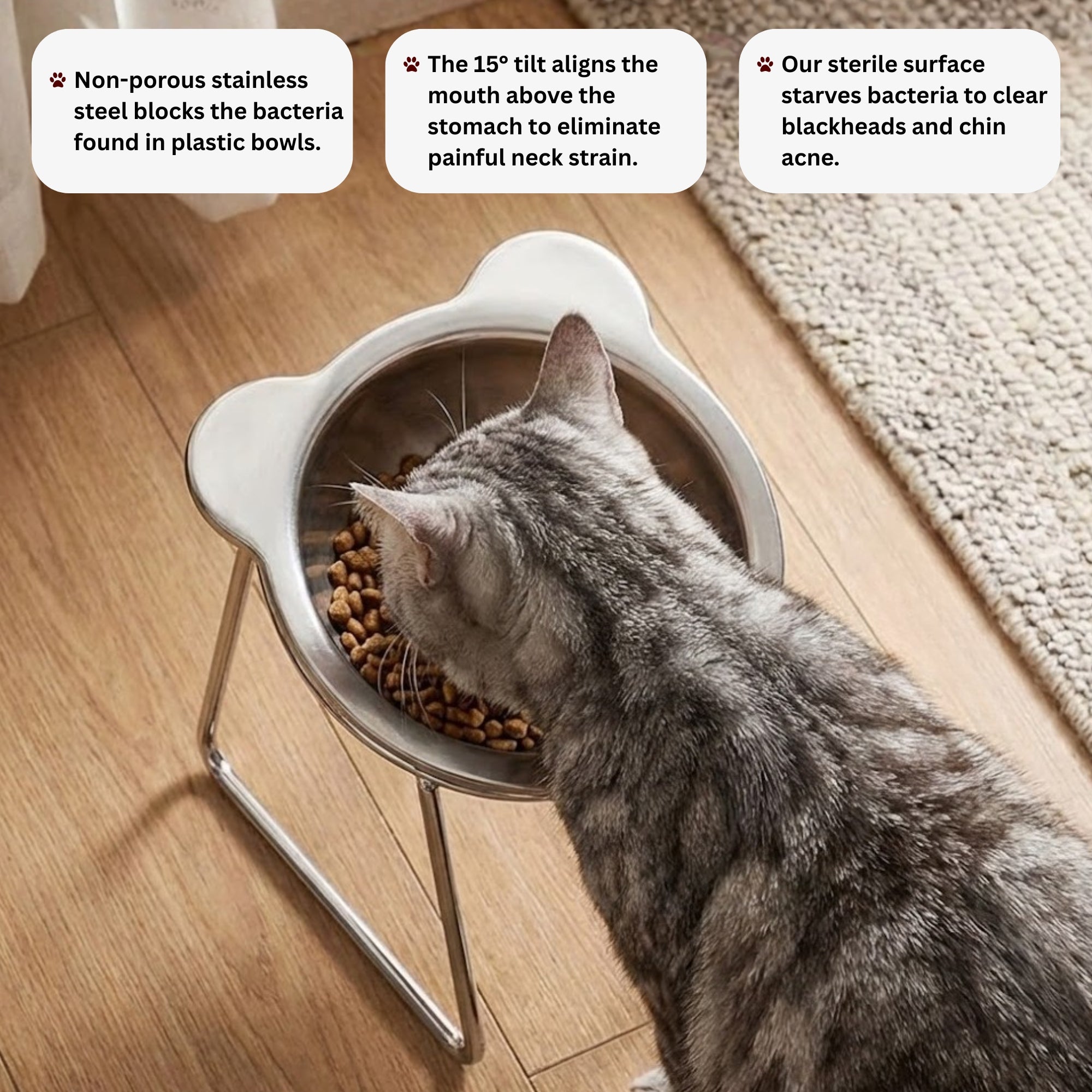 Sterling Whiskers™ Orthopedic Feeding Bowl