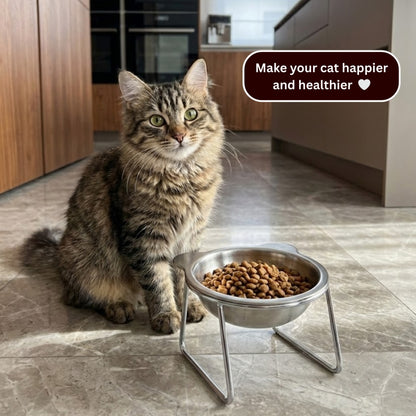 Sterling Whiskers™ Orthopedic Feeding Bowl