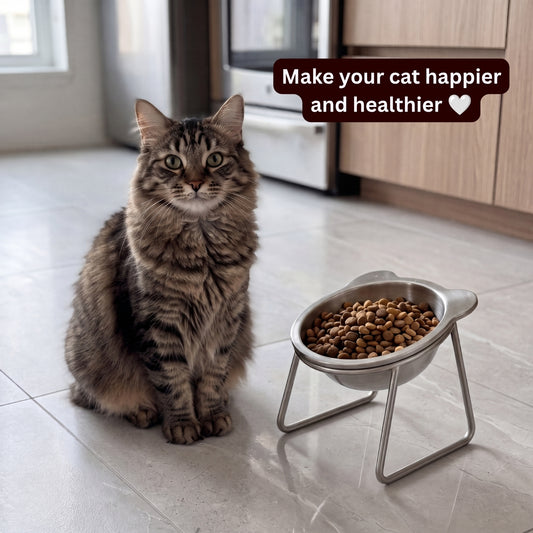 Orthopedic Feeding Bowl (with Bowl Stands)